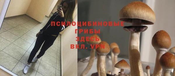 соль курить ск Кинешма