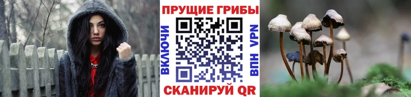 Псилоцибиновые грибы прущие грибы KRAKEN ссылка Юхнов